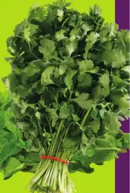 FreshCo Cilantro or Mint Bunch Product of USA or Mexico - Ramadan offer