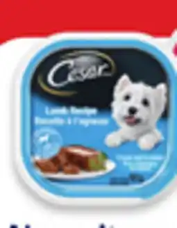 Walmart Cesar wet dog food offer