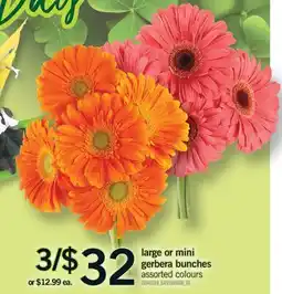 Fortinos LARGE OR MINI GERBERA BUNCHES offer