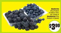 FreshCo Blueberries 170 g Product of Chile or Peru No. I Grade or Blackberries 170 g Product of Mexico offer