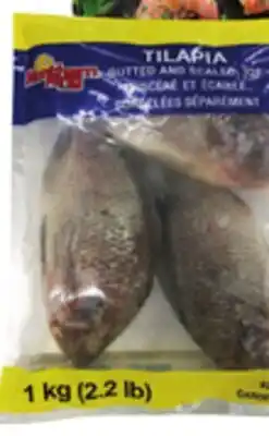 Food Basics NORTHERN KING WHOLE TILAPIA OR MARINA DEL REY WILD ARGENTINIAN SHRIMP OR FROZEN offer
