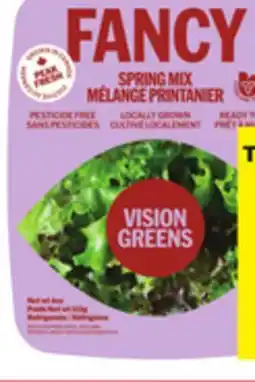 Food Basics VISION GREENS LETTUCE offer