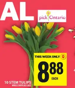 Food Basics 10 STEM TULIPS offer