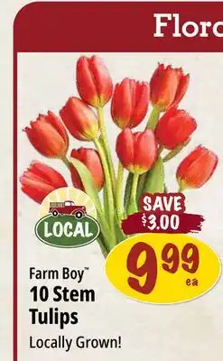 Farm Boy Farm Boy 10 Stem Tulips offer