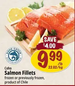 Farm Boy Coho Salmon Fillets offer