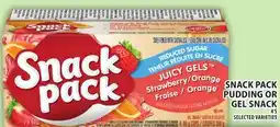 Food Basics SNACK PACK PUDDING OR GEL SNACK offer