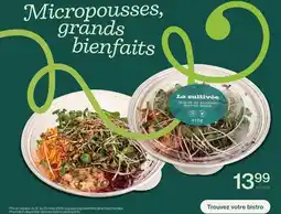 Avril Salade de pousses Sprout Salad offer