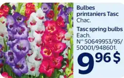 Walmart Tasc spring bulbs offer