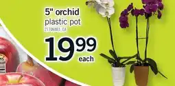 Fortinos 5 ORCHID offer