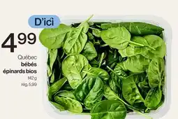 Avril Bébés épinards bios offer