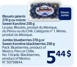 Walmart Bleuets géants offer