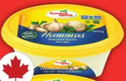 Food Basics FONTAINE SANTÉ HUMMUS offer