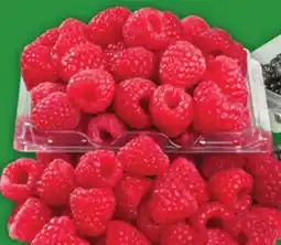 Food Basics BLACKBERRIES offer