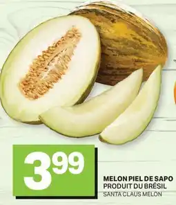 L'Intermarché MELON PIEL DE SAPO | SANTA CLAUS MELON offer