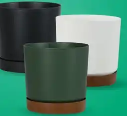 Canac Tubo Flower Pot offer