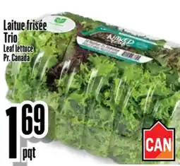 Bonanza Laitue frisée Trio offer