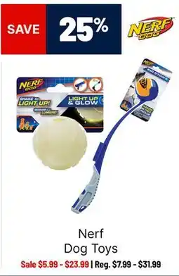 Ren’s Pets Depot Nerf Dog Toys offer