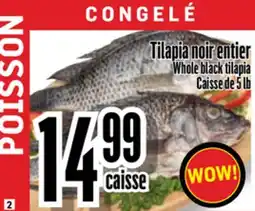Bonanza Tilapia noir entier offer