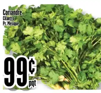 Bonanza Coriandre offer