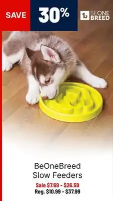 Ren’s Pets Depot BeOneBreed Slow Feeders offer