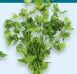 Walmart Flat parsley offer