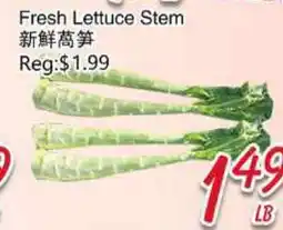 Foody Mart Fresh Lettuce Stem offer