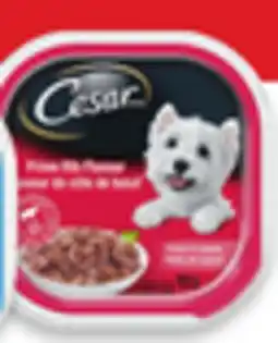 Walmart Cesar wet dog food offer