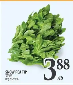 Al Premium Food Mart SNOW PEA TIP offer