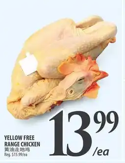 Al Premium Food Mart YELLOW FREE RANGE CHICKEN offer
