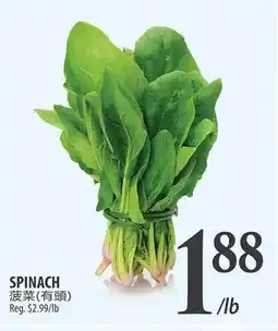 Al Premium Food Mart SPINACH offer
