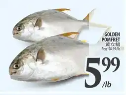 Al Premium Food Mart GOLDEN POMFRET offer