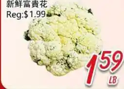 Foody Mart 新鮮富貴花 offer