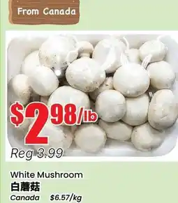 Btrust Supermarket White Mushroom offer