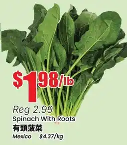 Btrust Supermarket Spinach With Roots offer