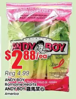 Btrust Supermarket ANDY BOY Romaine Hearts offer