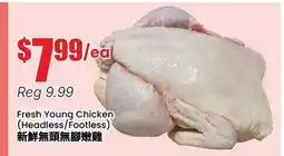 Btrust Supermarket Fresh Young Chicken (Headless/Footless) offer