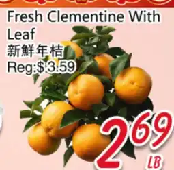 Foody Mart Fresh Clementine With Leaf offer