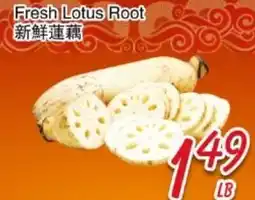 Foody Mart Fresh Lotus Root offer