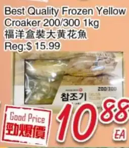 Foody Mart Best Quality Frozen Yellow Croaker 200/300 offer