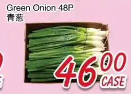 Foody Mart Green Onion 48P offer