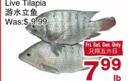 First Choice Supermarket Live Tilapia offer