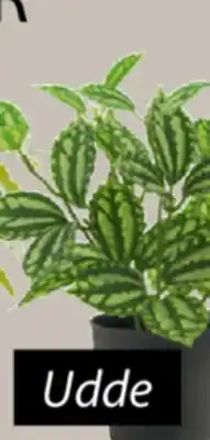 JYSK UDDE Artificial splatter plant offer