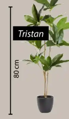 JYSK TRISTAN Artificial plant offer