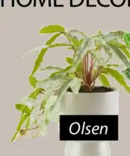 JYSK OLSEN Artificial plant offer