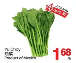 T&T Supermarket YU CHOY offer