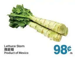 T&T Supermarket LETTUCE STEM offer