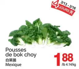 T&T Supermarket POUSSES DE BOK CHOY offer