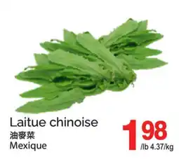 T&T Supermarket LAITUE CHINOISE offer