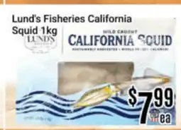 Nations Fresh Foods Lund's Fisheries California Squid offer