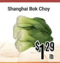 Nations Fresh Foods Shanghai Bok Choy offer